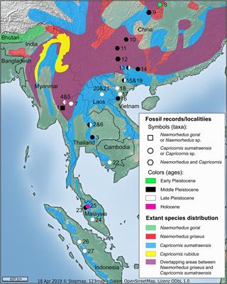 Long-Term Isotope Evidence on the Diet and Habitat Breadth of Pleistocene to Holocene Caprines in Thailand: Implications for the Extirpation and Conservation of Himalayan Gorals